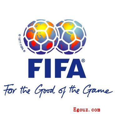 FIFA:國際足球聯合會