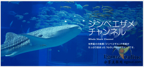 kaiyukan日本海遊館