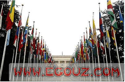 WTO:世界貿易組織