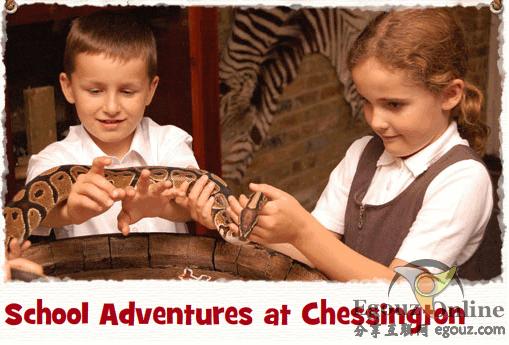 Chessington:切斯頓冒險世界