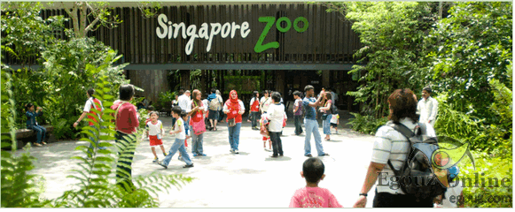 新加坡zoo動物園