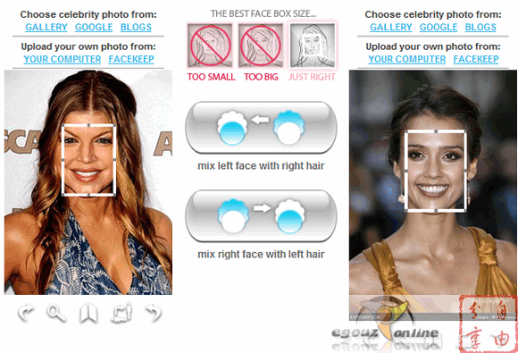 Hairmixer:線上臉部移植工具