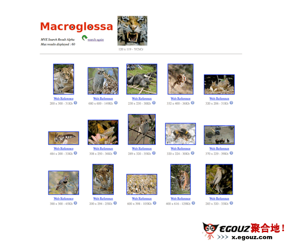 Macroglossa:視覺搜尋平臺