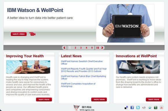 美國Wellpoint健康保險公司