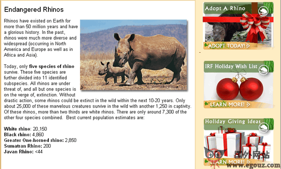 rhinos-irf犀牛基金會