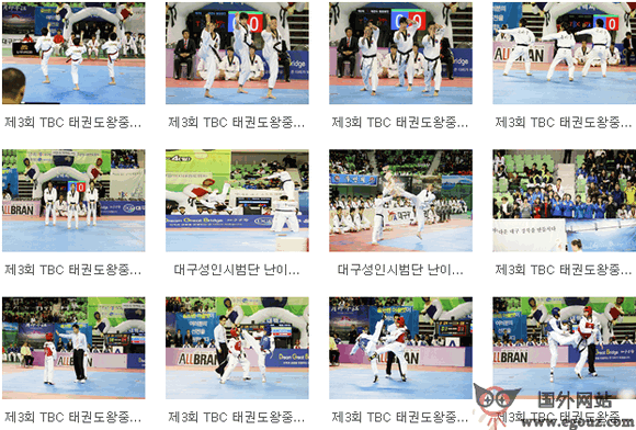 koreataekwondo唐手道協會