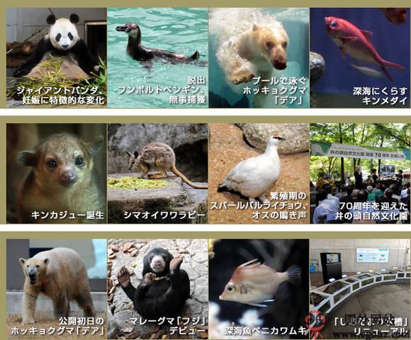 Tokyo-Zoo:日本恩賜上野動物園