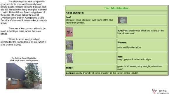 LondonTrees:英國倫敦植物資訊網