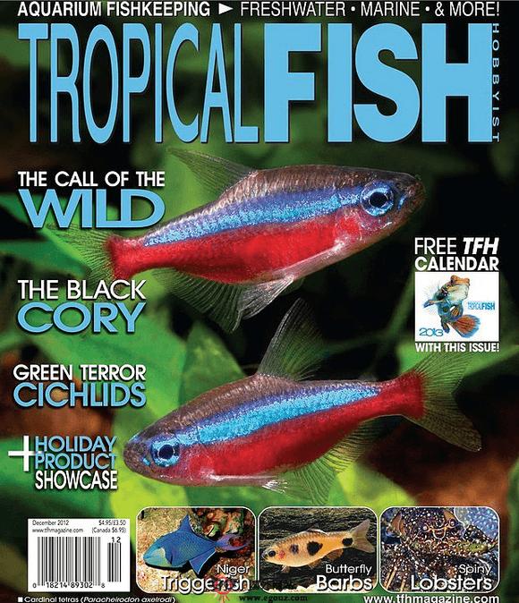 TFHmagazine:熱帶魚愛好者雜誌
