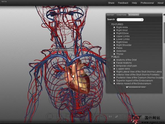 BiodiGital:線上3D人體結構模擬平臺