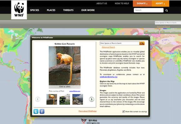 WildFinder:線上視覺化物種搜尋查詢平臺