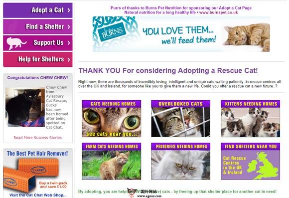 CatChat:寵物貓救援慈善組織