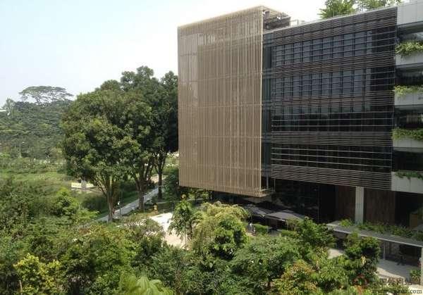 Ktph:新加坡邱德拔公立醫院
