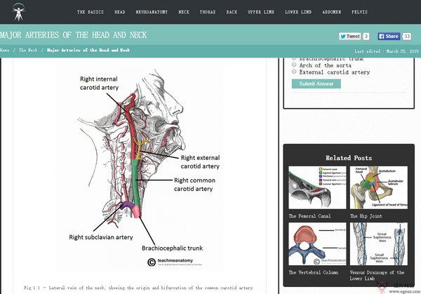TeachMeAnatoMY:人體解剖學百科全書網