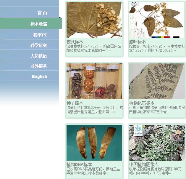 NHPE:中國科學院植物標本館