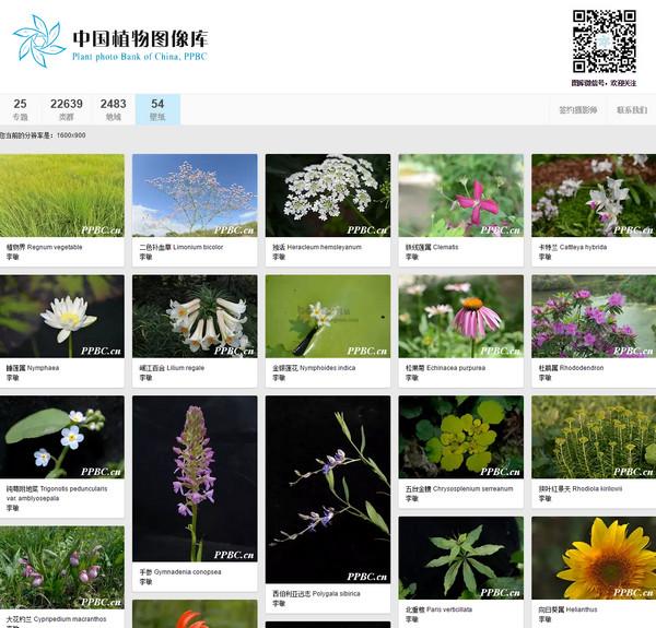 PlantPhoto:中國植物影象庫