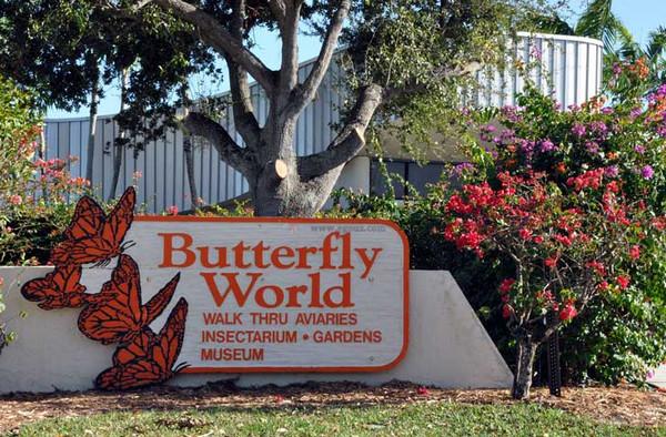 ButterflyWorld:美國蝴蝶世界公園
