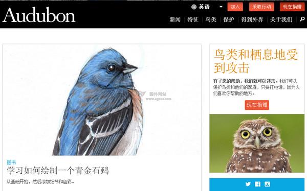 Audubon:奧杜邦鳥類學會