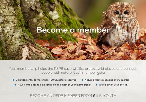 RSPB:英國皇家鳥類保護協會