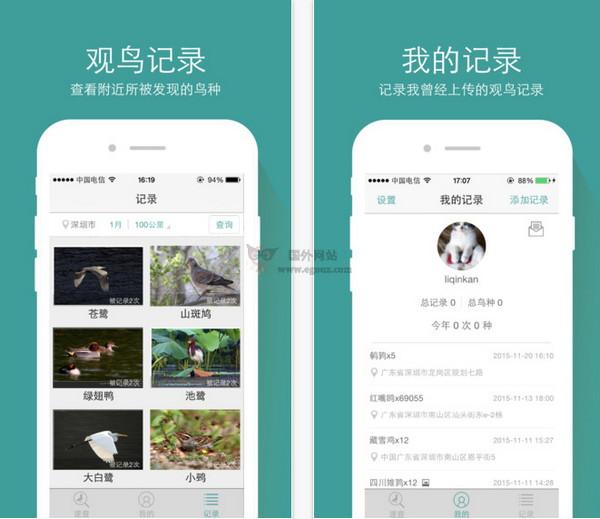 中國野鳥拍照速查應用