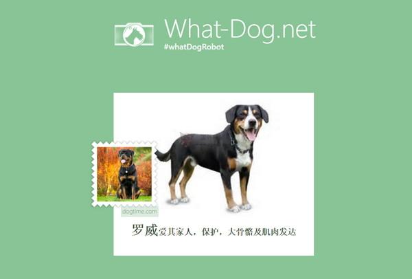 WhatDog:狗狗圖片識圖搜尋網